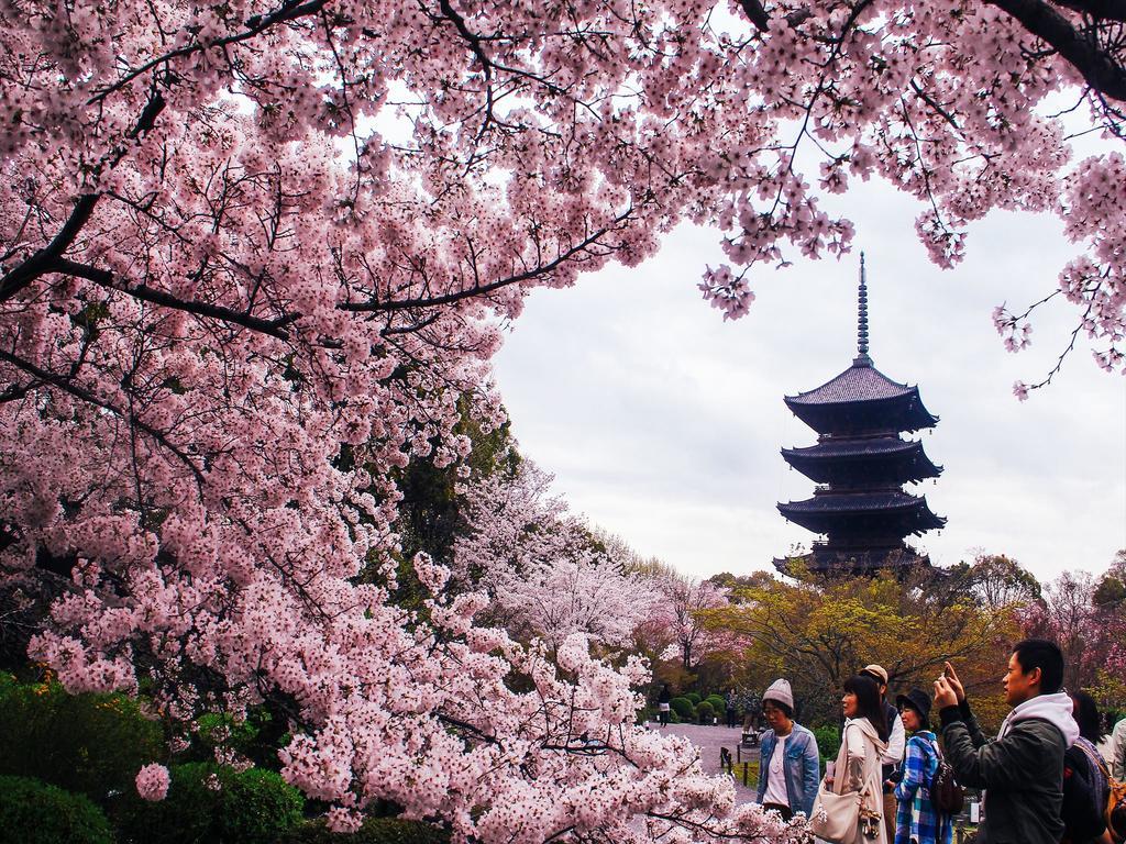 Coto京都 東寺 4 エクステリア 写真